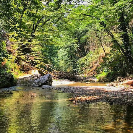 موزه زنده و خانه صنایع‌دستی چشمه عمارت بهشهر با حضور ۲۰ هنرمند افتتاح شد