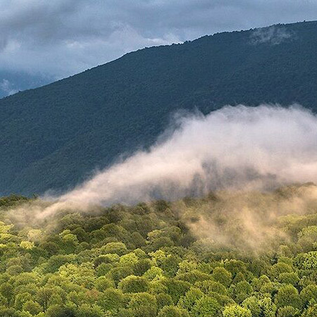 سواحل رامسر و سوادکوه برای استفاده گردشگران ایمن‌سازی می‌شود
